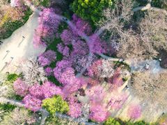 -杭州植物园