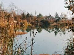 -桤木河湿地公园