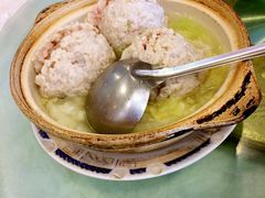 -丁老爷子苏香圆