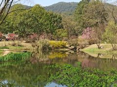-杭州植物园