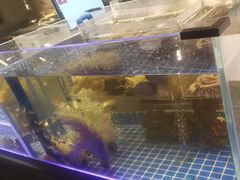 -鑫釜山海鲜烧烤(鑫丰国际店)