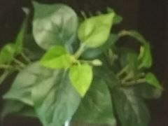 -德全心悦酒店(北京金台路地铁站店)