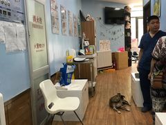 -瑞派·关忠动物医院·异宠专科·犬猫肿瘤·皮肤专科(望京店)