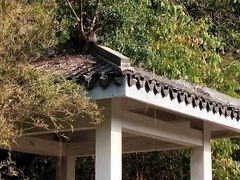 -南沙蒲洲花园