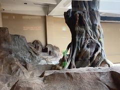 -宁波野生动物园