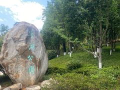 -安宁市宁湖森林公园