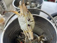 -仙螺岛海鲜自助餐厅(总店)
