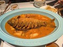 红烧黄河鲤鱼-阿五黄河大鲤鱼(英协路店)