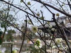 -花溪公园