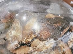 -大锅强·蒸海鲜青岛菜(吾悦广场店)