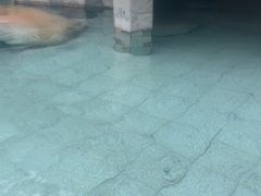 -碧水湾温泉