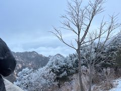 -泰山风景名胜区