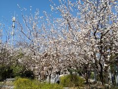 -中国中医科学院望京医院(院本部)