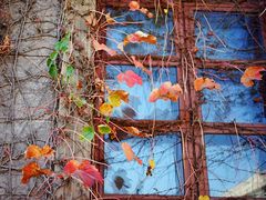 -半岛1919创意园区