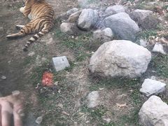 -西安秦岭野生动物园