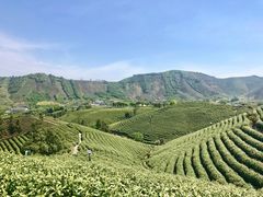 -帐篷客·溪龙茶谷度假酒店