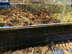 -青蓬蒸汽海鲜·深圳老字号·团建聚会(壹方城店)