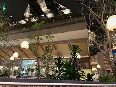 -桂满陇·海市蜃楼·黑金(国金店)