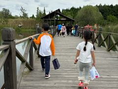 -溱湖国家湿地公园