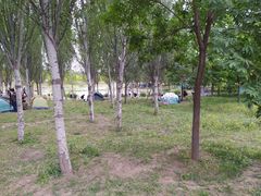 -东郊湿地公园