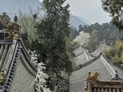 -潭柘寺景区