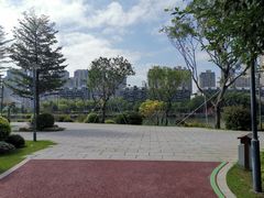 -光明港公园