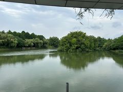 -中国湿地博物馆