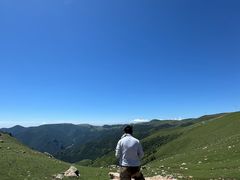 -空中草原