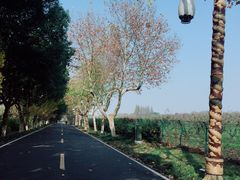 -宜兴龙背山森林公园