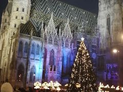 景点-斯蒂芬主教座堂(Stephansdom)