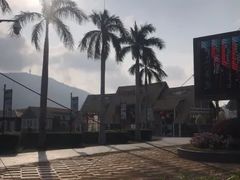 -亚龙湾国际玫瑰谷
