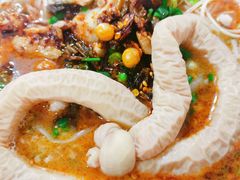 -平安桥张氏肥肠粉