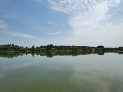 -东郊湿地公园
