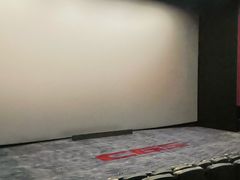 -深影国际影城(学院南路店CGS中国巨幕店)