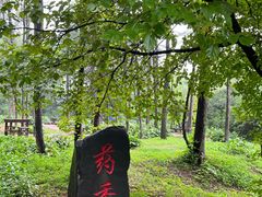 -萨尔浒风景区