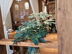 -鸽舞笙平金牌烧鸽子·融合菜(鲁谷店)