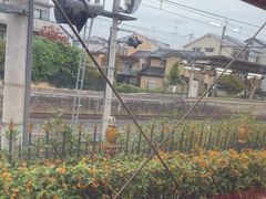 -岚山嵯峨野观光小火车