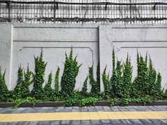 -三元梅园(永定路店)