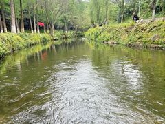 -重庆彩云湖湿地公园