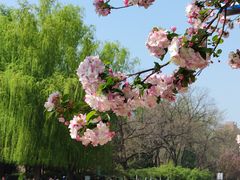 -元大都城垣遗址公园