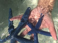 -白沙滩