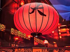 -天辣(金桥啦啦宝都店)