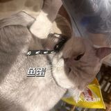 好吃！！尤其八宝粥！