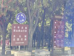 -原山国家森林公园