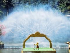 -西双版纳原始森林公园