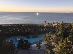 -东京湾希尔顿酒店