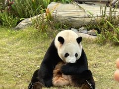 -灵玲国际马戏城