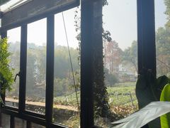 -野蔓果·山野菜(西湖景区·龙井茶田店)