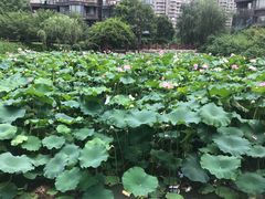 -耀江文鼎苑