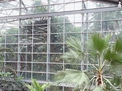 -南山植物园